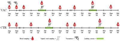 Impact of Coxiella burnetii vaccination on humoral immune response, vaginal shedding, and lamb mortality in naturally pre-infected sheep